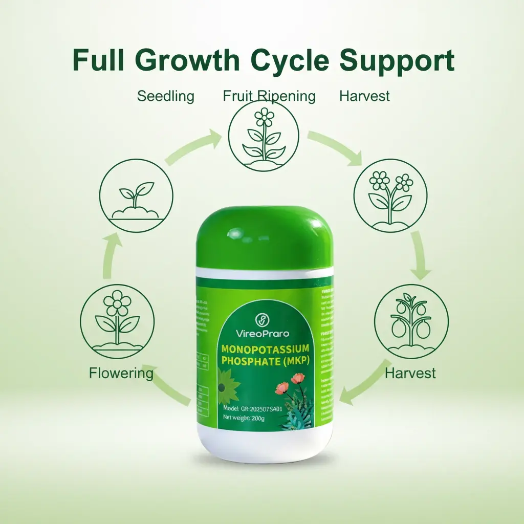 E04    Potassium Phosphate Fertilizer – Strengthen Roots and Enhance Flowering in Plants