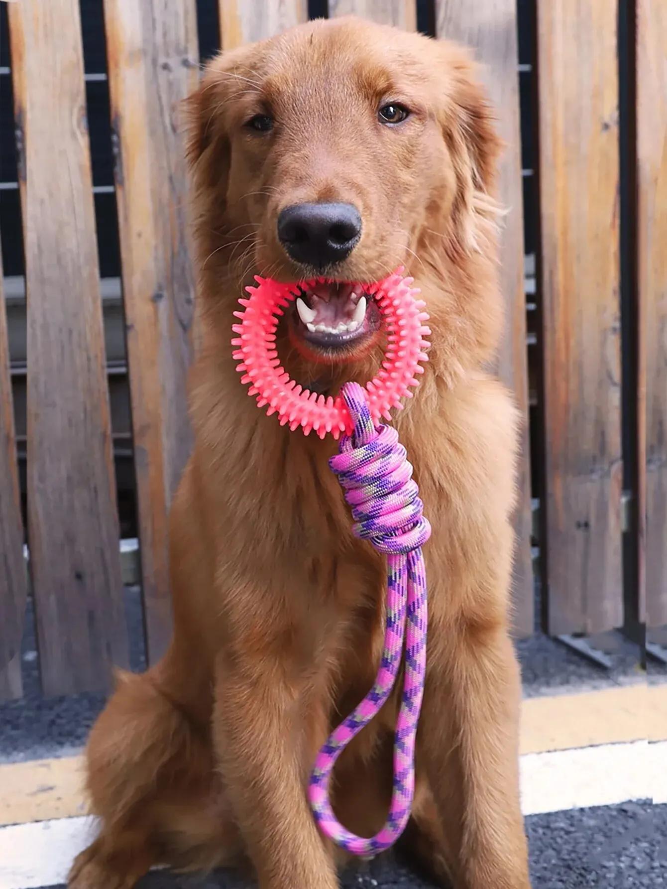 Dog Toys Chew Resistant Nylon Rope Toys Pet Colorful Woven Knot Rubber Toys Dog Self Fun Outdoor Swimming Toys Pet Supplies