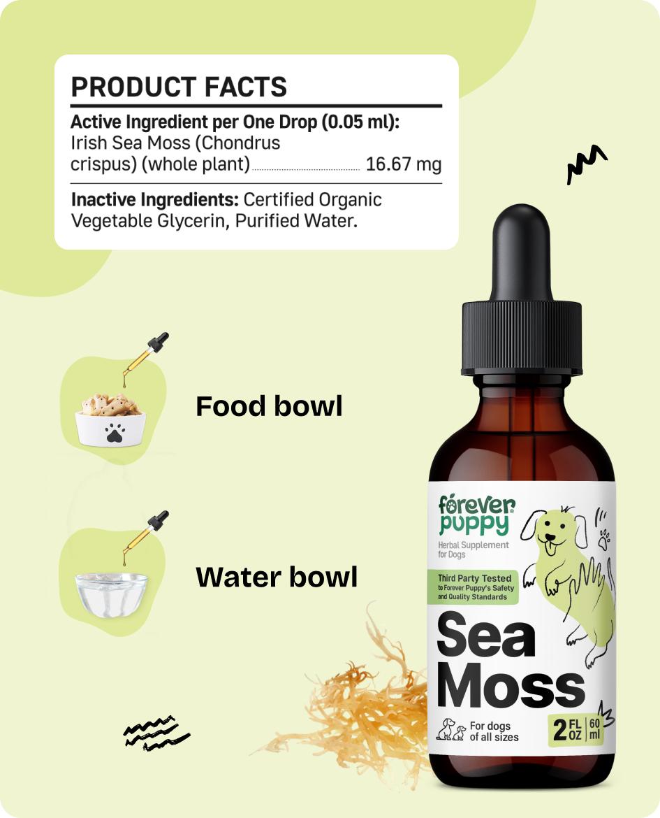 Irish Sea Moss Drops for Dogs - Thyroid Support & Energy - Nutritional Drops with Liquid Seamoss Extract - Dog Vitamins and Supplements for All Breeds & Sizes - Alcohol-Free - 2 fl oz