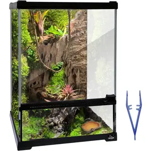 Reptile Glass Terrarium Tank 10 * 10 * 14in, Full View with Front Opening Door,Amphibians Enclosure Habitat Cage for Leopard Gecko Tarantula Young Lizard Hermit Crab Frog  Breeding