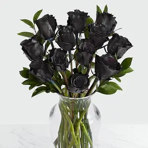 100PCS Black Rose Flower Bush Perennial Shrub Flower Seeds - All Seasons Garden Planting Kit for Elegance & Aesthetic Appeal