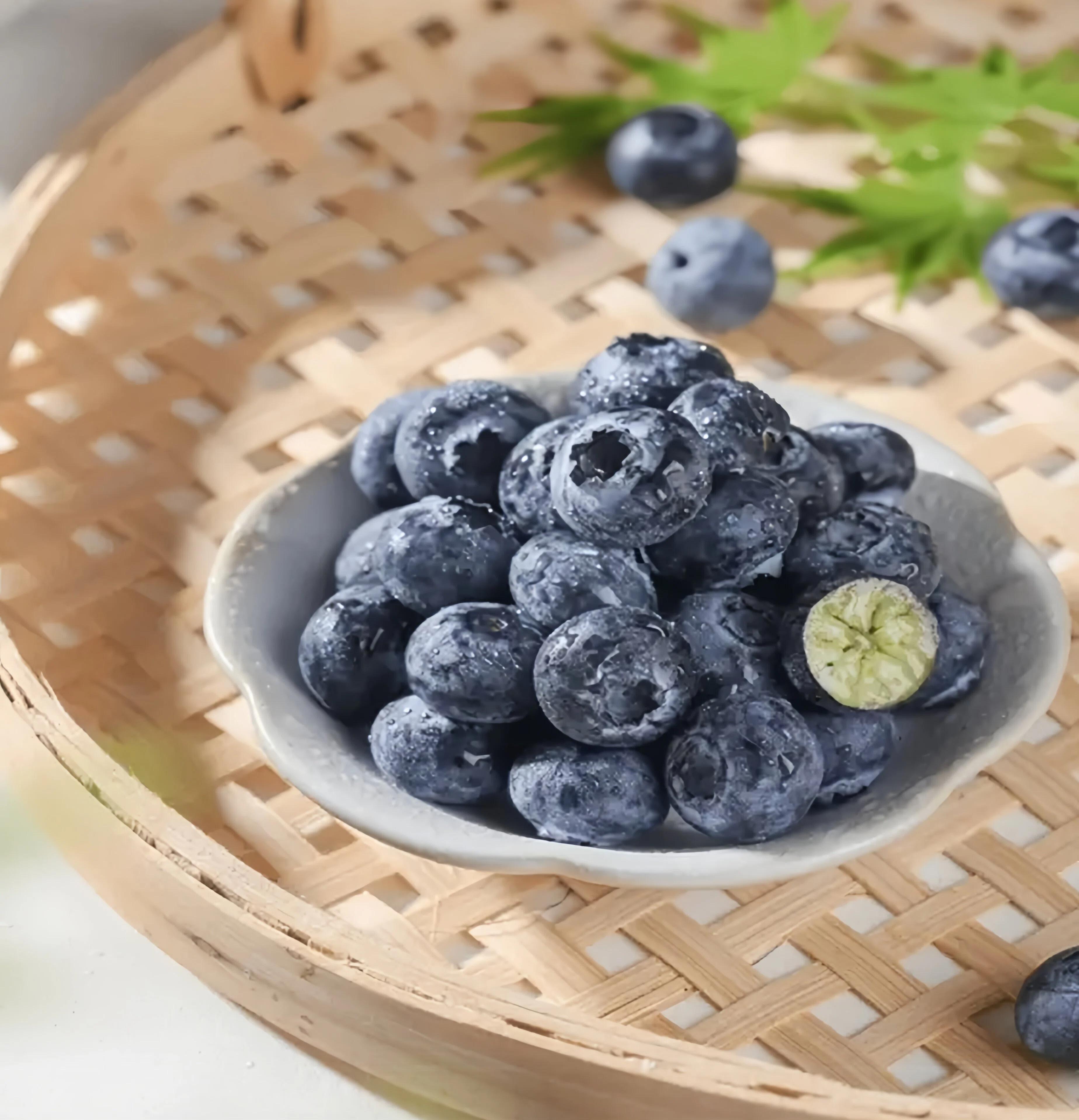 Blueberry Bare Root Plant - Strong Roots, Healthy Plant, Easy to Grow, Ideal for Home Gardening