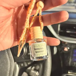 Eucalyptus & Spearmint Hanging Car Diffuser