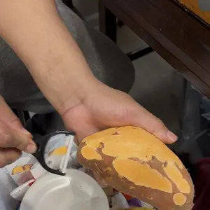 Professional 6/7-piece kitchen knife set, including chef's knife, slicing knife, paring knife, and scissors, made of high-carbon stainless steel for exceptional sharpness, with non-stick ergonomic wooden handles. This chef's knife set is suitable for home