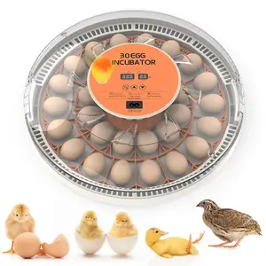 30 Egg Incubator with Automatic Turner, Digital Temperature and Humidity Display, and Built-in Egg Candler for Hatching Chickens, Quail, and Ducks