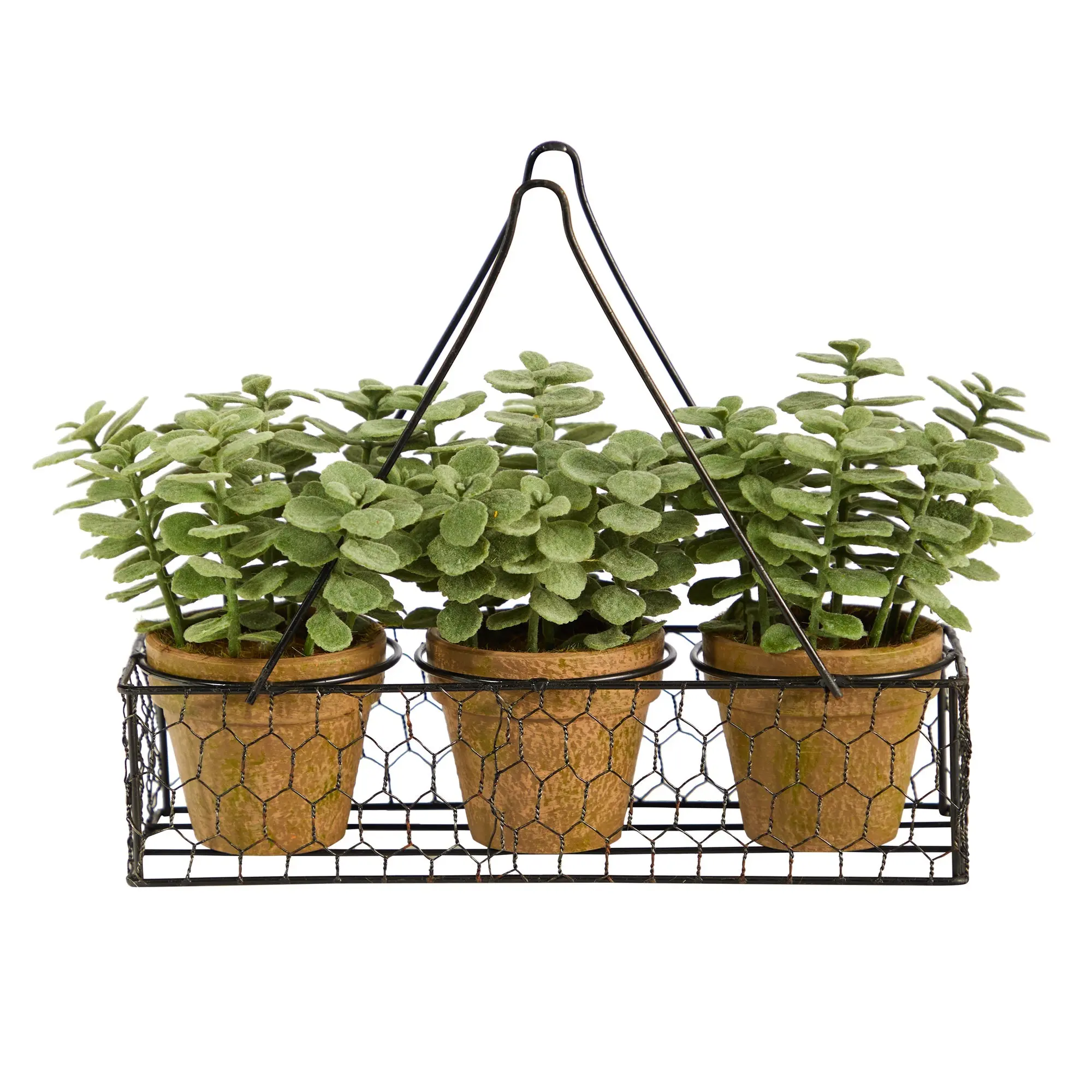 7-Inch Mini Jade Artificial Potted Plant, Hanging Basket Cute Planter for Home & Garden Plant Decor, Hanging Baskets
