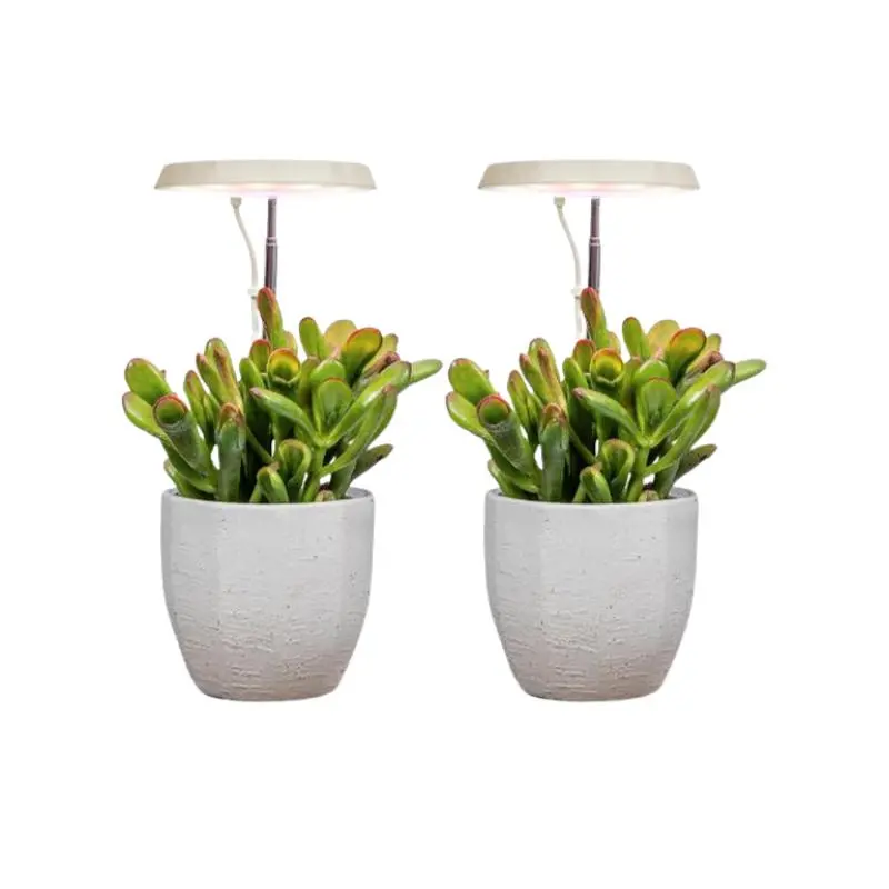 AeroGarden Stem Grow Light for Indoor Plants, Grow Live Plants Anywhere in the Home, Adjustable Light Modes
