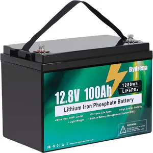 12V 100Ah LiFePO4 Battery,Replaceable Deep Cycle Lithium Battery,Built in 150A BMS, Cycles Battery,backup power,for RV, Marine, Solar System