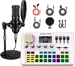 Y300 Podcast Audio Mixer Kit includes a P15 microphone, one-touch noise cancellation, karaoke, and tone adjustment—a fully-featured DJ and live streaming interface suitable for gaming, singing, and live performances.