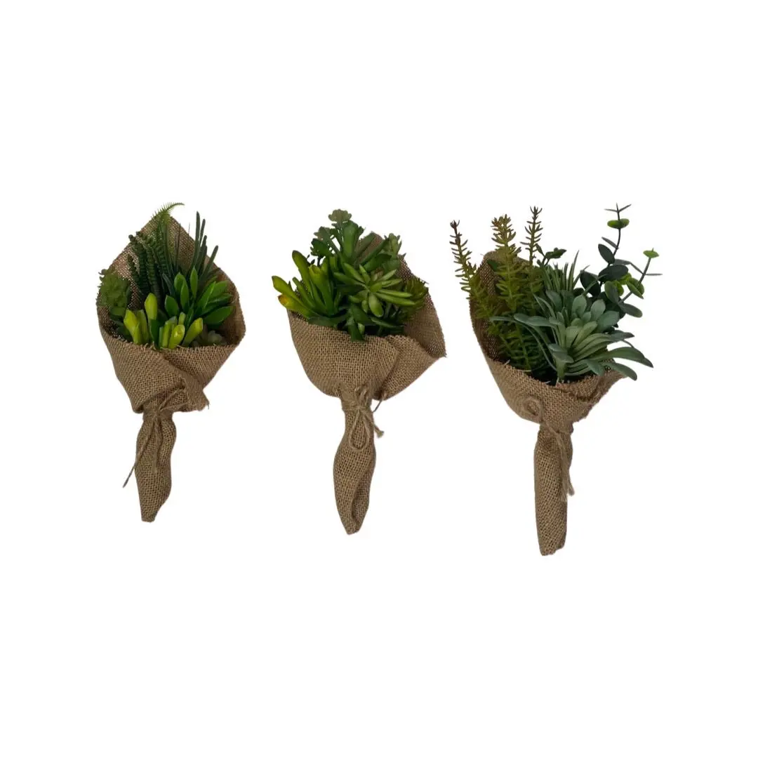 Succulent Bouquet Three Piece Set