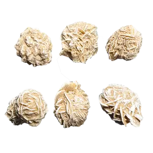 Selenite Gypsum Desert Roses from Mexico – 1.5" to 2" Earthy Crystal Specimens