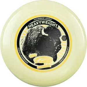Heavyweight 200g Flying Disc, 11 Inch Stable Competition Sports Disc, Long Distance and Durable, for Outdoor Activities and Family Fun