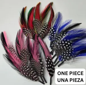One Pieza/Una Pieza Plumas Classica/Classic Style Feathers