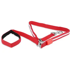 Blazin' Safety LED Dog Leash - USB Rechargeable Light, 6 Ft, Waterproof - Avoid Danger - Red Blazin' Bison