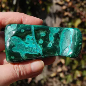 3.2in 203g Large Malachite Chrysocolla Crystal Free Form Palm Stone, Congo mca2