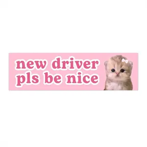 new driver pls be nice | Cat Meme Car Magnet | Pink Coquette Crying Funny Cute Car Décor