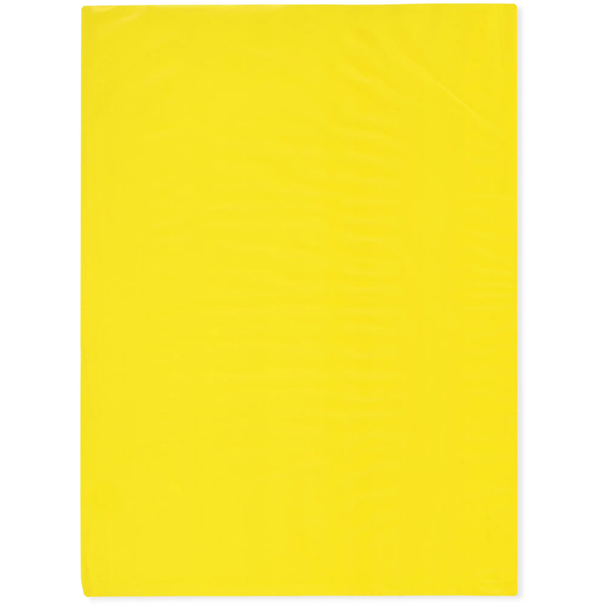 Plymor 9" x 12", Yellow 2 Mil Flat Open Plastic Poly Bags