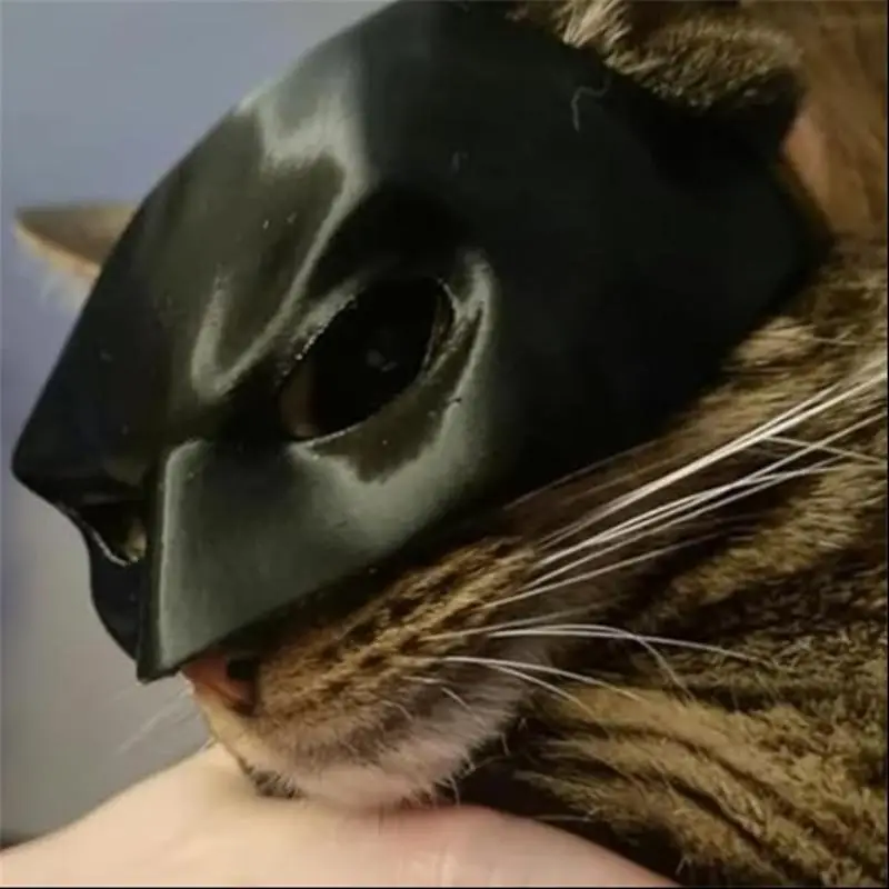 Bat Design Pet Mask, 1 Count Creative Pet Costume, Pet Cosplay Costume, Pet Costumes for Cats, Cat Supplies, Dog & Cat Clothing