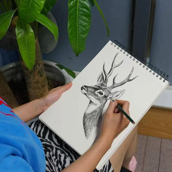 35pcs Professional Drawing Pencil Set - Complete Sketching and Painting for Artists Professional Art Uses Perfect Halloween Gifts，drawing pencils、drawing supplies