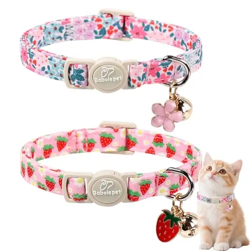 Wildflower and Strawberry