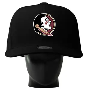 FSU Seminoles Noggin