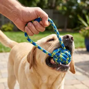 Blue Block Braided Rope Ball Ring, Durable Chew Toy for Medium to Large Dogs, Outdoor Interactive Pull Toy