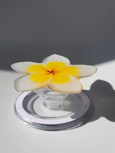 Rainbow Summer Yellow White Plumeria MagSafe PopSocket Tropical Flower Phone Grip Magnetic Pop Socket Phone Grip Summer Szn Tropical Flower Floral Vibrant Color Phone Grip Popsocket