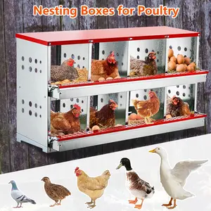 8-Hole Wall Mounted Galvanized Steel Chicken Nesting Boxes, Sturdy Poultry Laying Nest with Roll-Out Egg Tray & Perch for Chickens