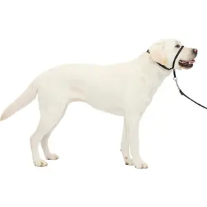 Gentle Leader No-Pull Headcollar - Breathable Lightweight Walking Halter - Minimal Strap Design & Padded Nose Loop - Snout-Specific Fit - Helps Gain Easy Control