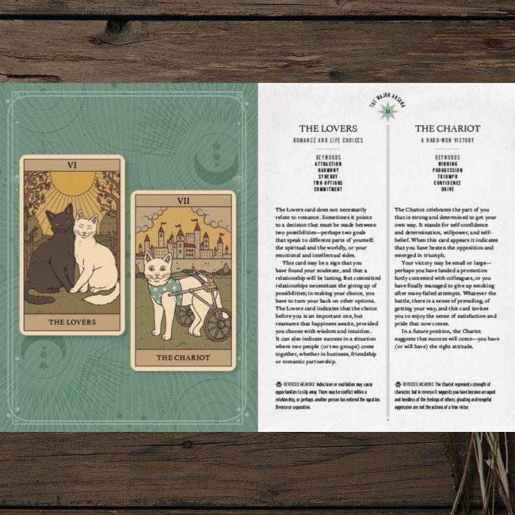 Cats Rule the Earth Tarot Deck | 78-Card Cat Tarot with Guidebook | New Edition