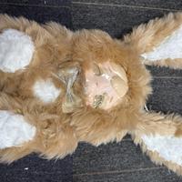 Brown Laser Eye Confirmation payment