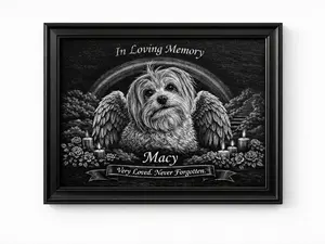 8x10 Framed Scratch Canvas Rainbow Bridge Pet Memorial