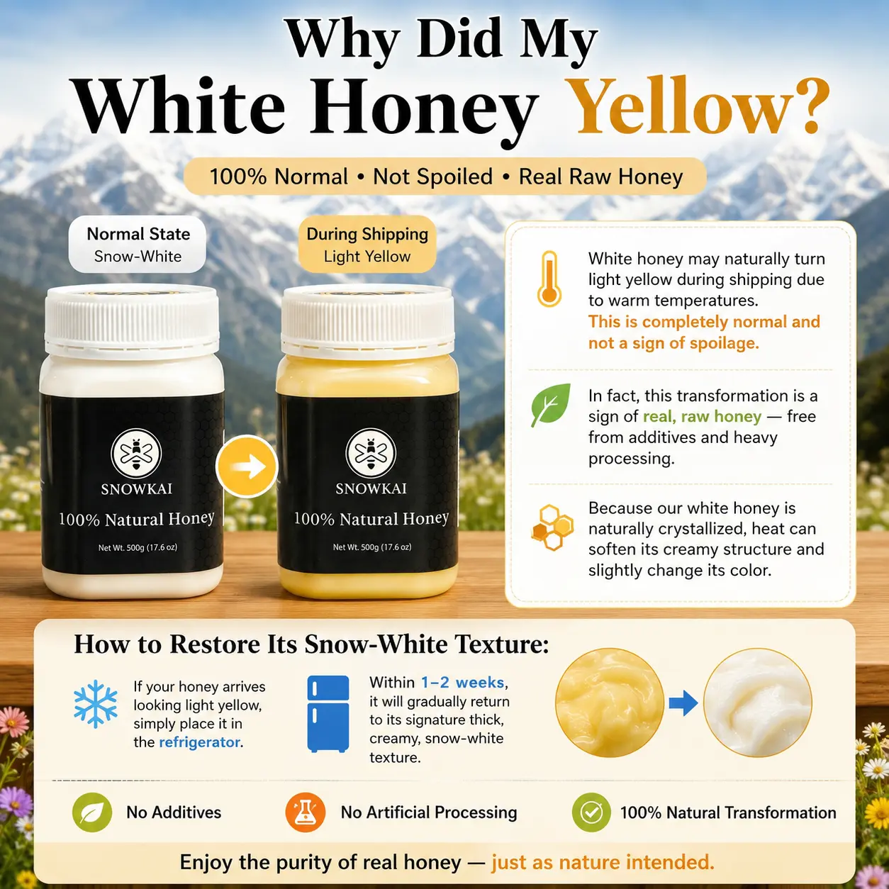 100% Natural White Honey - Thick Creamy Snow Honey 500g (17.6oz) - Wild Mountain Sourced - No Additives - Sweet & Smooth Texture - Flavor