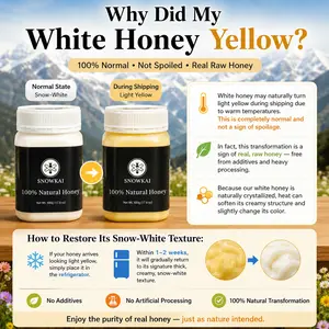 100% Natural White Honey - Thick Creamy Snow Honey 500g (17.6oz) - Wild Mountain Sourced - No Additives - Sweet & Smooth Texture - Flavor
