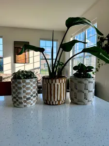 Rustic Ceramic Planter Pots (3 styles)