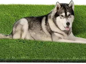 Professional Dog Grass Mat, Artificial Grass Turf, Large Outdoor Rug Patio Lawn Decoration, Easy to Clean with Drainage Holes (48x32 inch)
