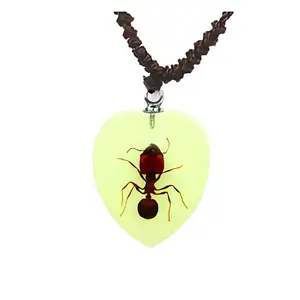 Real Ant Necklace Heart Shaped Glow In The Dark Real Nature Gift