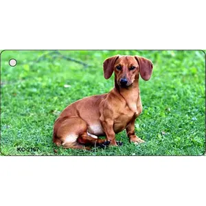Smart Blonde  1.5 x 3 in. Dachshund Novelty Metal Key Chain