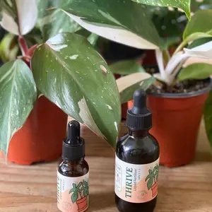 Thrive Liquid Rapid Growth Fertilizer for Plants and Propagation