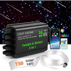 750 Starlight Headliner Kits for  Home Star Ceiling Sky Decoration Twinkle & Meteor 2-in-1 Light Engine 0.03in*9.8ft RGBW Fiber Optic Strands 200 Pure White  Stars 16W Starlight kit