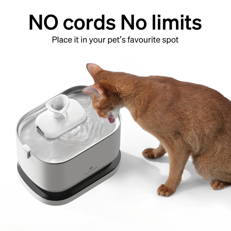 PETLIBRO Wireless Pet Water Fountain,Cat Water Fountain,Dockstream ...