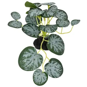 Komodo String Of Hearts Reptile Decor Plants 3.5 in