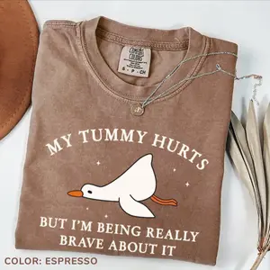 My Tummy Hurts But I'm Being Really Brave About It Silly Goose, Tummy Ache Shirt, Chronic Illness Awareness Shirt
