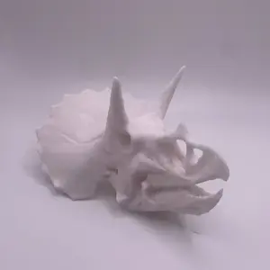 Triceratops Skull 3D Printed – Dinosaur Skeleton Decor for Desk, Shelf, or Gift