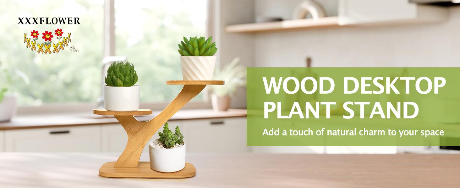 3-Tier Bamboo Succulent Planter Set - Aesthetic Desk Plant Stand Gift with 3 Ceramic Pots