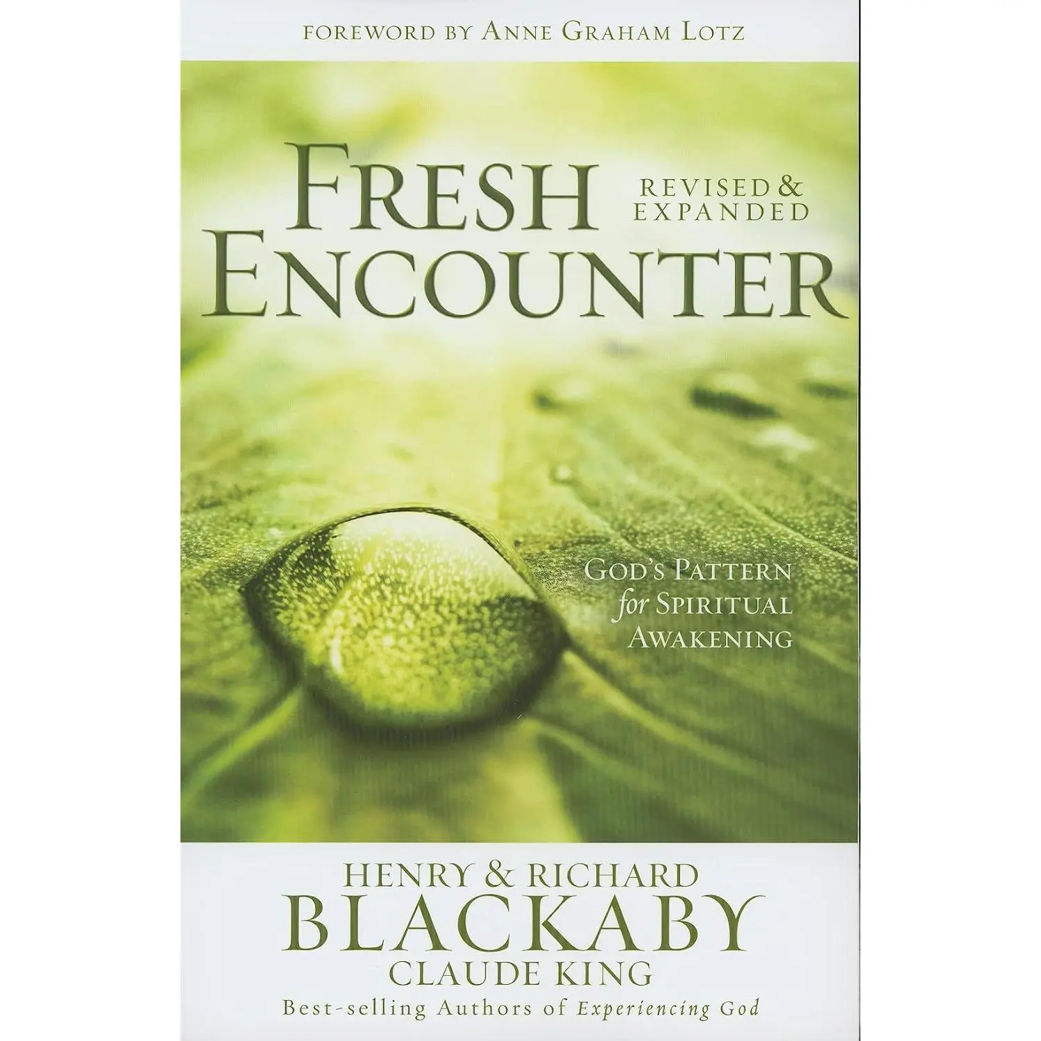 Fresh Encounter: God's Plan for Your Spiritual Awakening