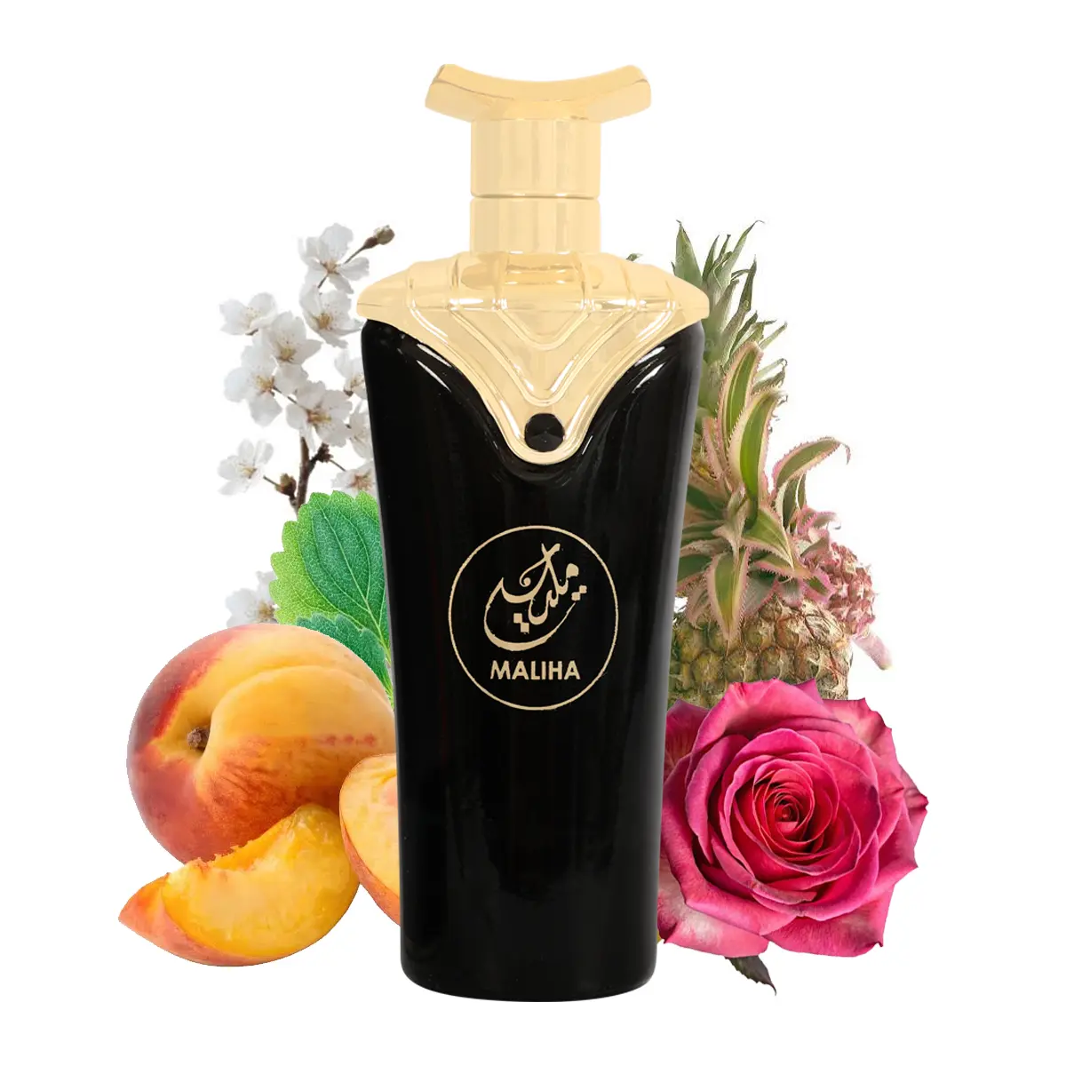 EBC Maliha Eau de Parfum 100ml Natural Spray Vaporisateur 80% Vol 3.4 Fl Oz Luxury Fragrance