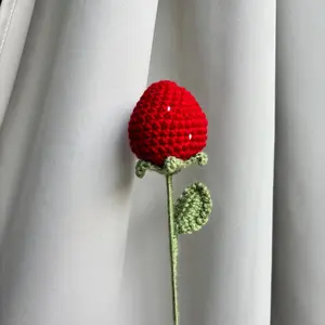 Crochet Strawberry Stem