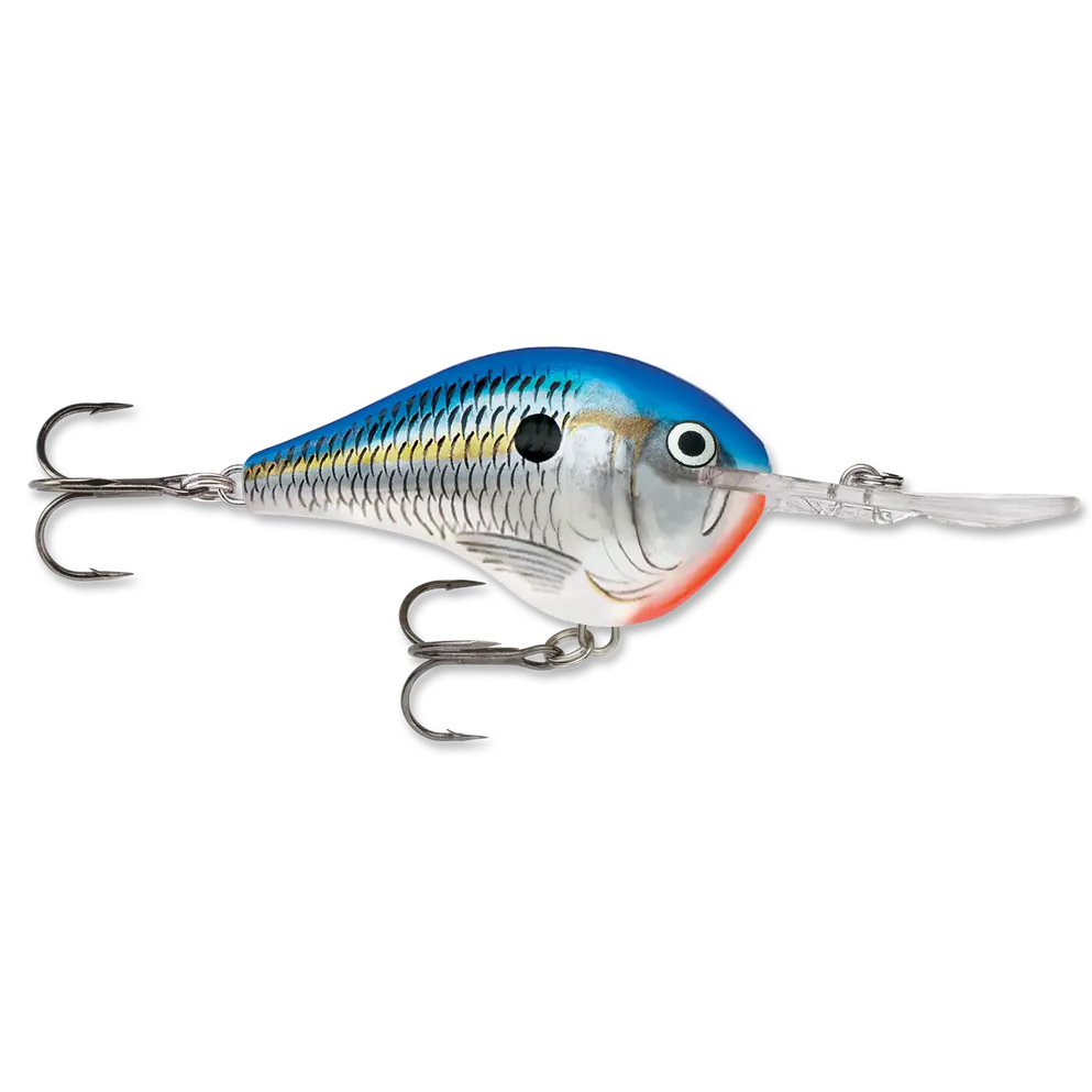 Blue Shad