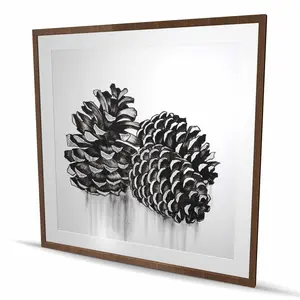Begin Home Decor C1FM48488ZMAJB 48 x 48 in. Three Small Pine Cones Print Wall Art - Black & White Framed Art